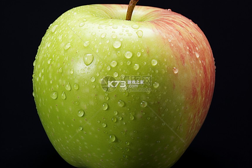 伴鱼口语 v1.0.1010 app下载 截图