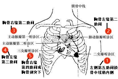 听诊教学 vV26.10.01 app下载 截图