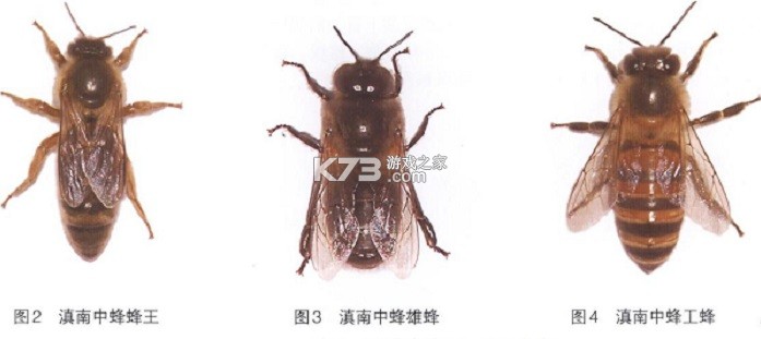 移动妙记 v1.2.0 app下载 截图