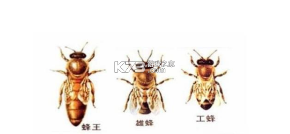 移动妙记 v1.2.0 app下载 截图