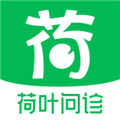 荷叶问诊下载免费v1.3.1