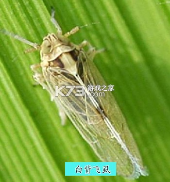 Podsfine v1.2.4 安卓app下载 截图