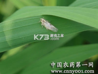 Podsfine v1.2.4 安卓app下载 截图