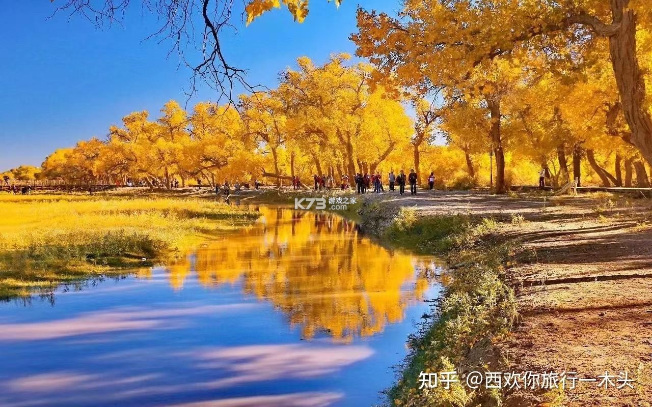 亿企查 v16.06.74 app下载免费 截图