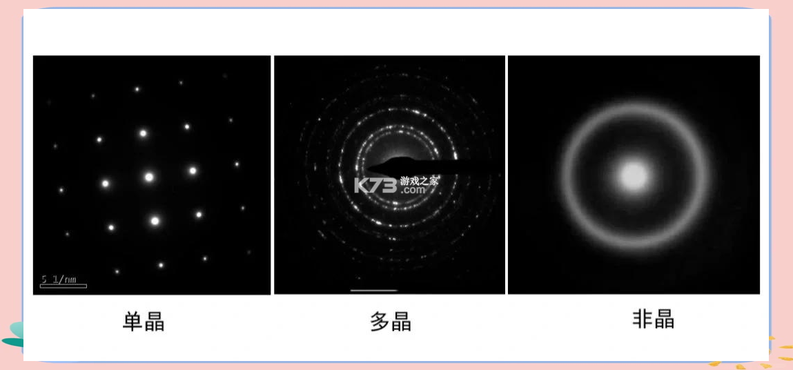 好奇动物HD v5.6.4 下载免费 截图