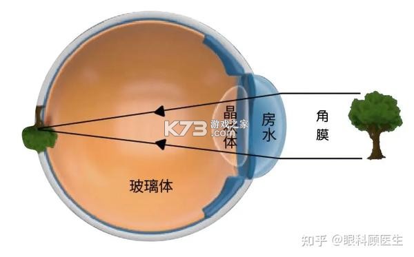 美禾 v1.0.88 下载安卓app 截图