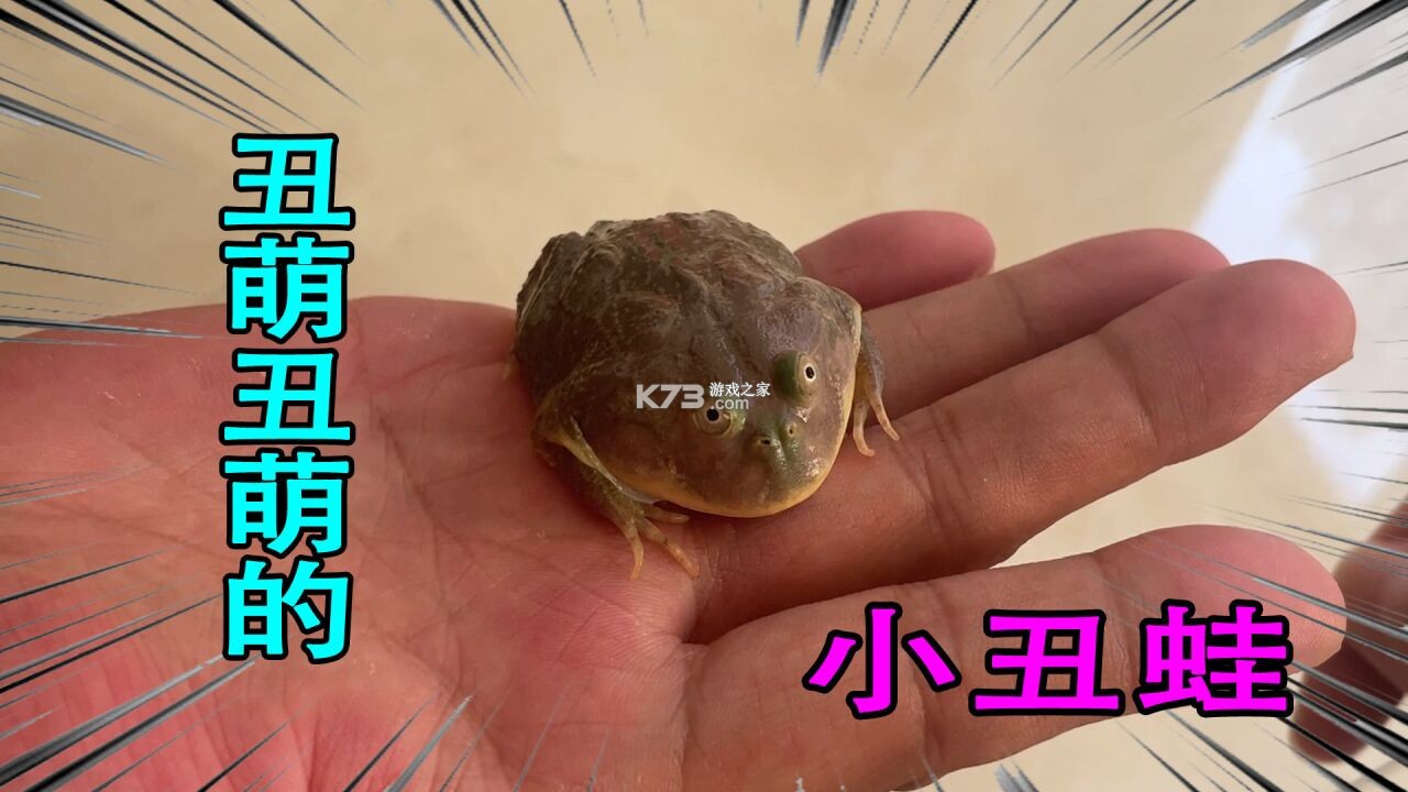 Seestar v3.4.1 下载官方版 截图