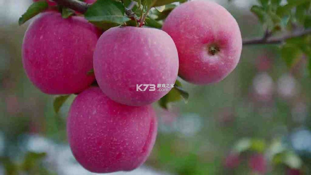 7M足球实时比分 v8.7.0 安卓app下载 截图