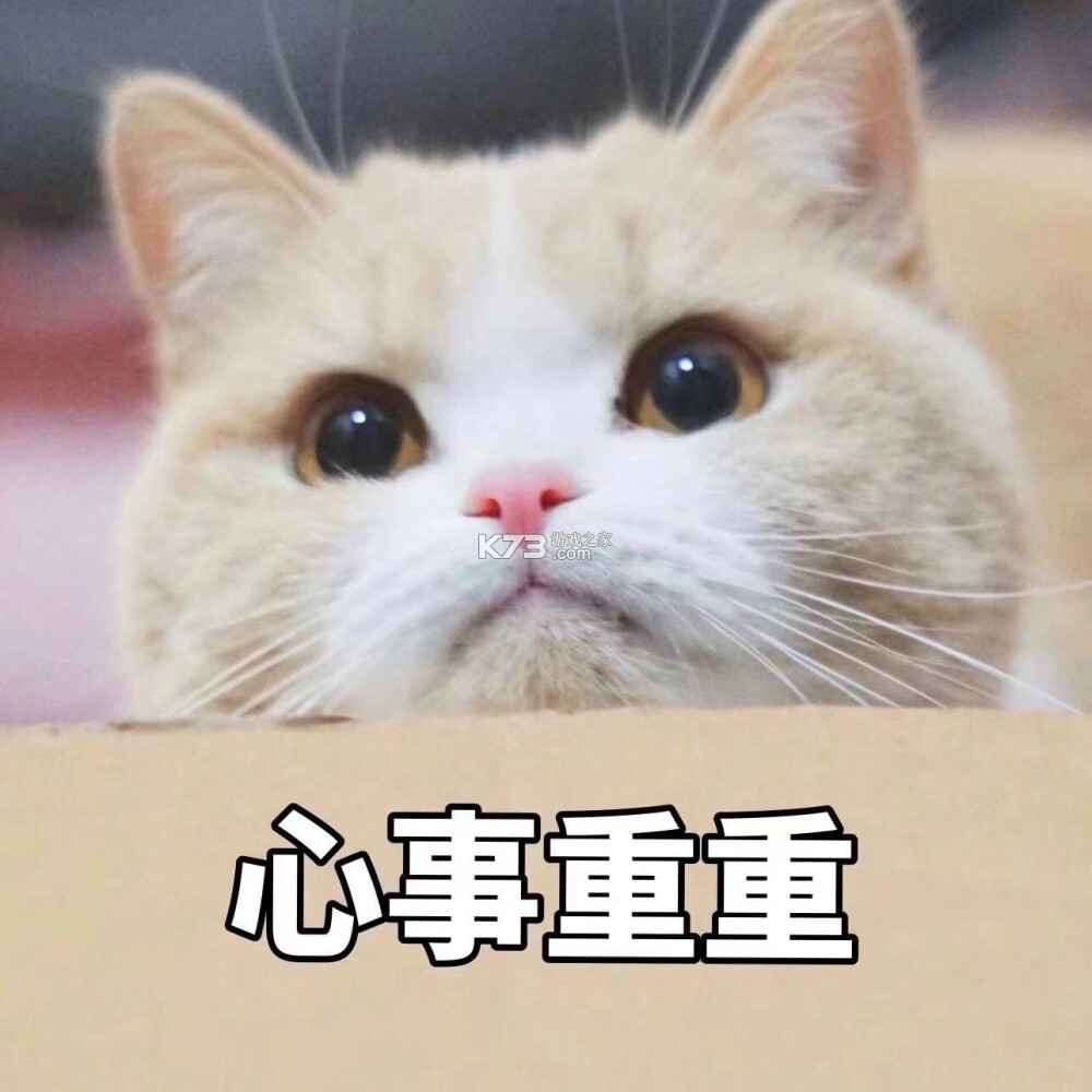 folia播放 v1.3 安卓app下载 截图