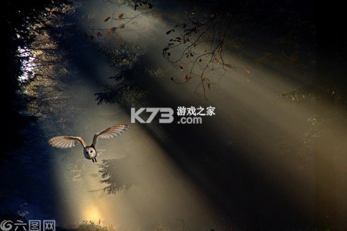 Path of Survivors(幸存者之路) v1.0.2 安卓app下载 截图