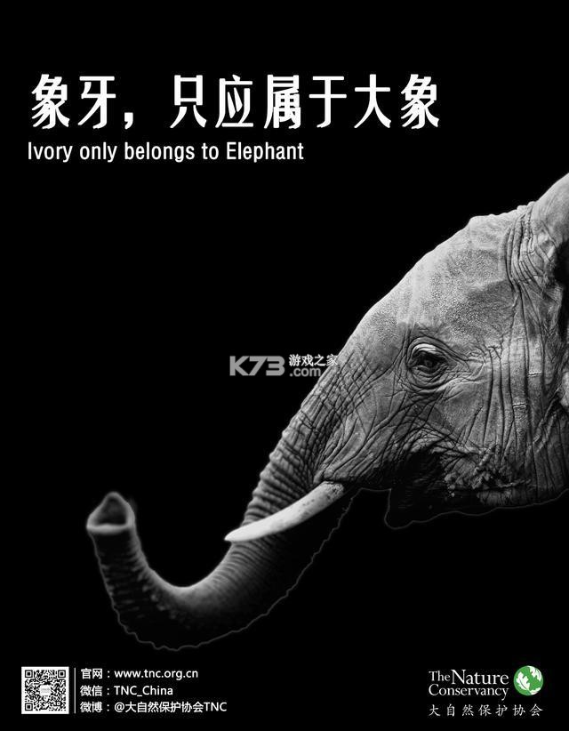 WeiQ自媒体 v7.1.9 app下载免费 截图