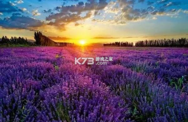 顶呱呱 v3.5.4 官方app下载安装 截图