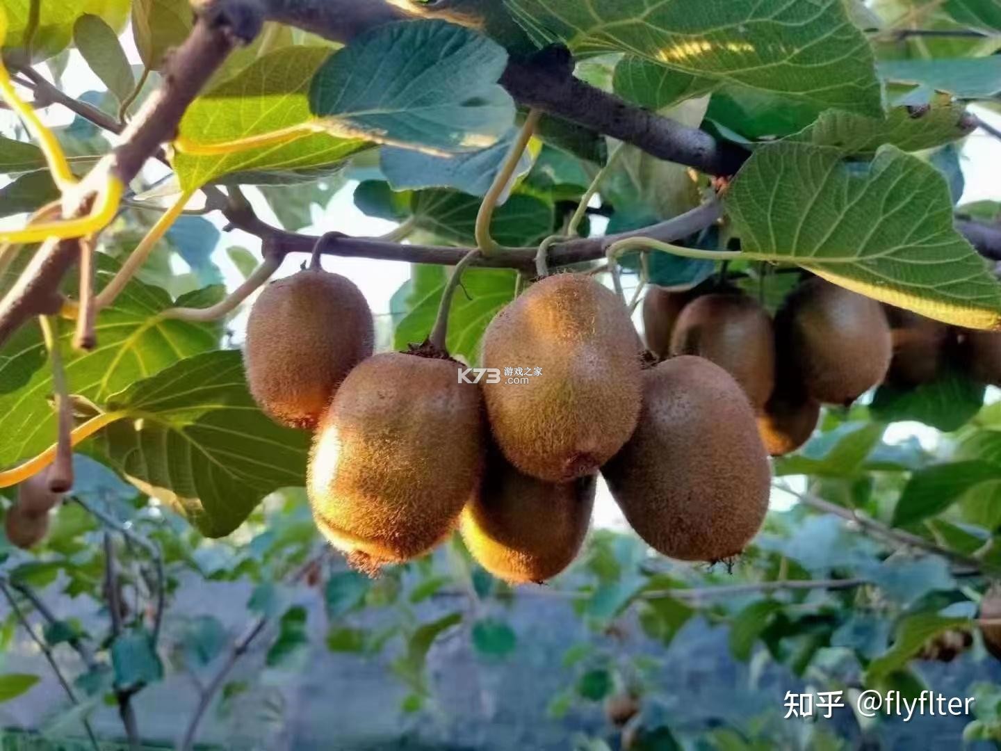 拼豆模板免费 v1.1.2 app下载免费 截图