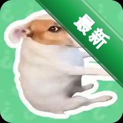 耍起语音盒app下载免费v1.04