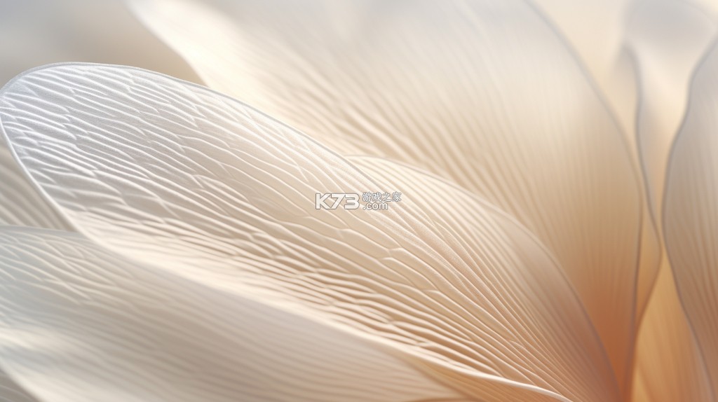 一起救萌宠 v1.0.1.2711161521 app下载免费 截图