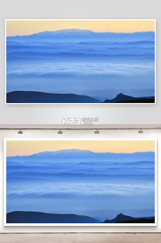 一起救萌宠 v1.0.1.2711161521 app下载免费 截图