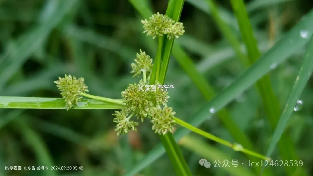 德管家 v4.3.7 下载安装 截图