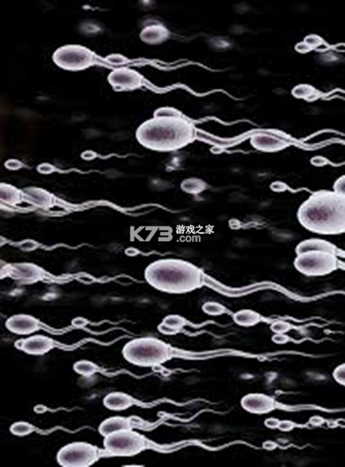 电子发票查验通 v1.0.3 app下载免费 截图