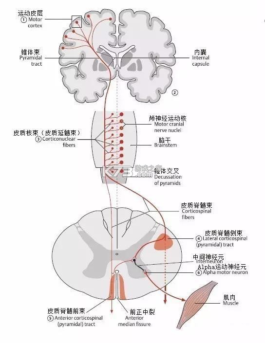 友邻生活家 v1.0.31 app下载免费 截图
