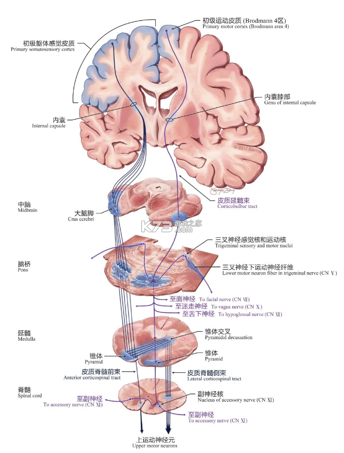 友邻生活家 v1.0.31 app下载免费 截图