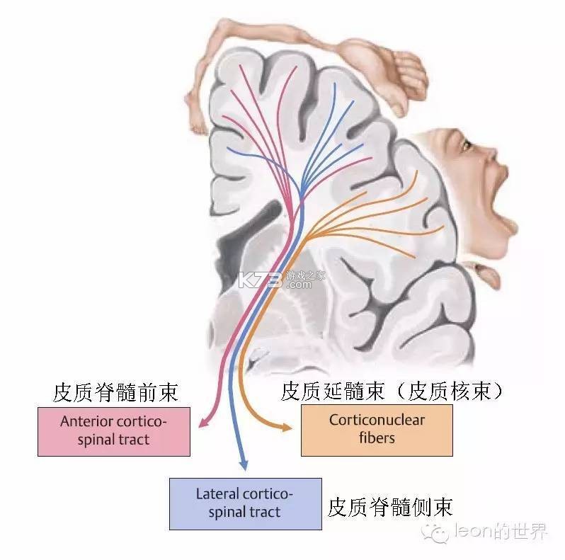 友邻生活家 v1.0.31 app下载免费 截图