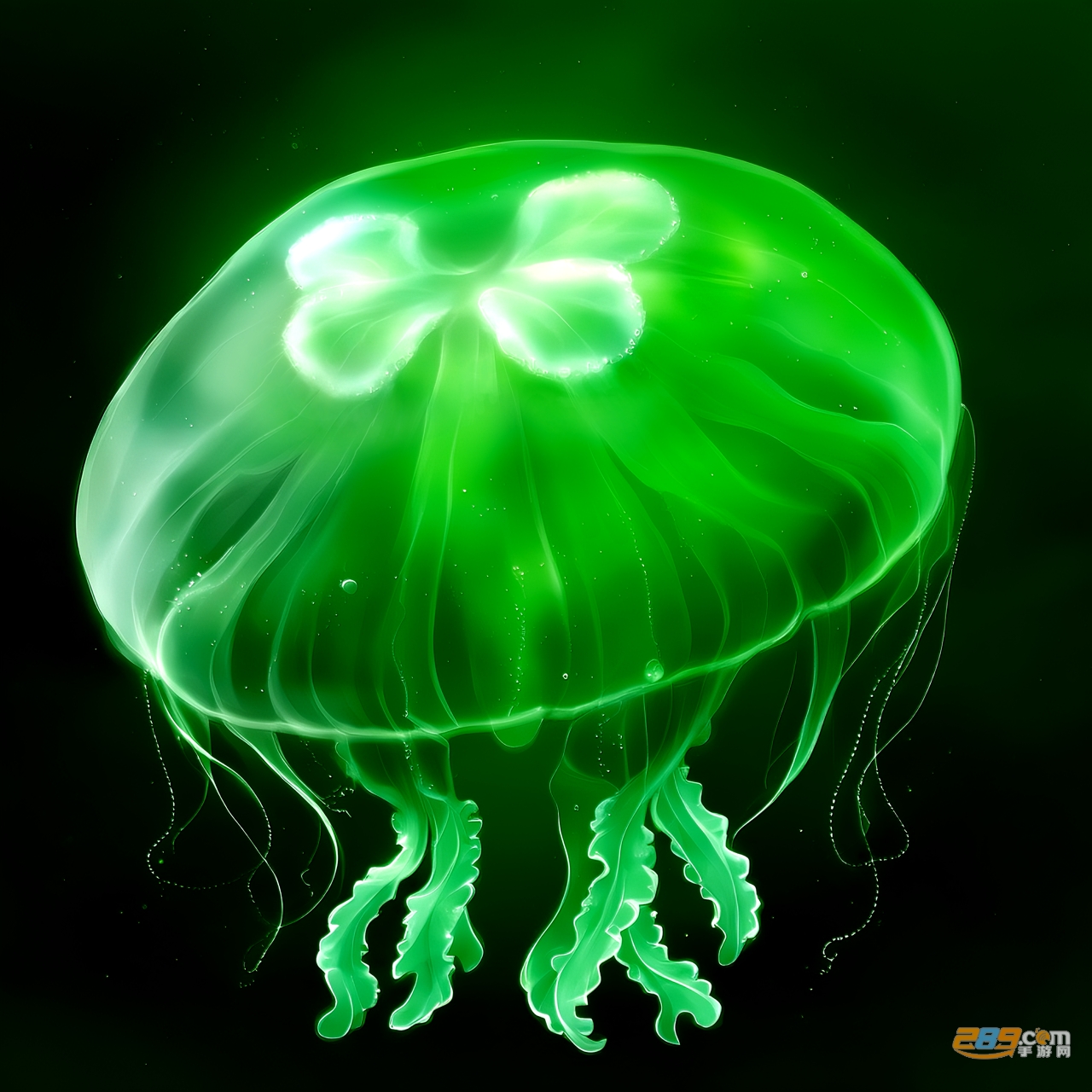 eggjelly官方版v2.5