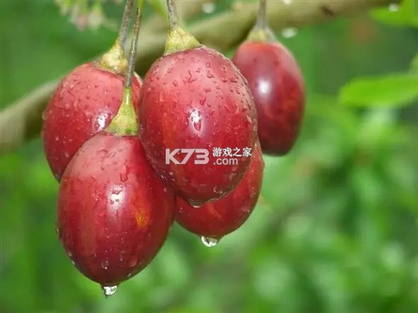 派宝管理助手 v5.3.0 app下载免费 截图