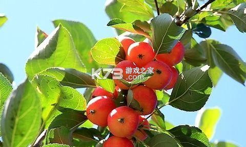粒子工具 v4.0.0 安卓app下载 截图