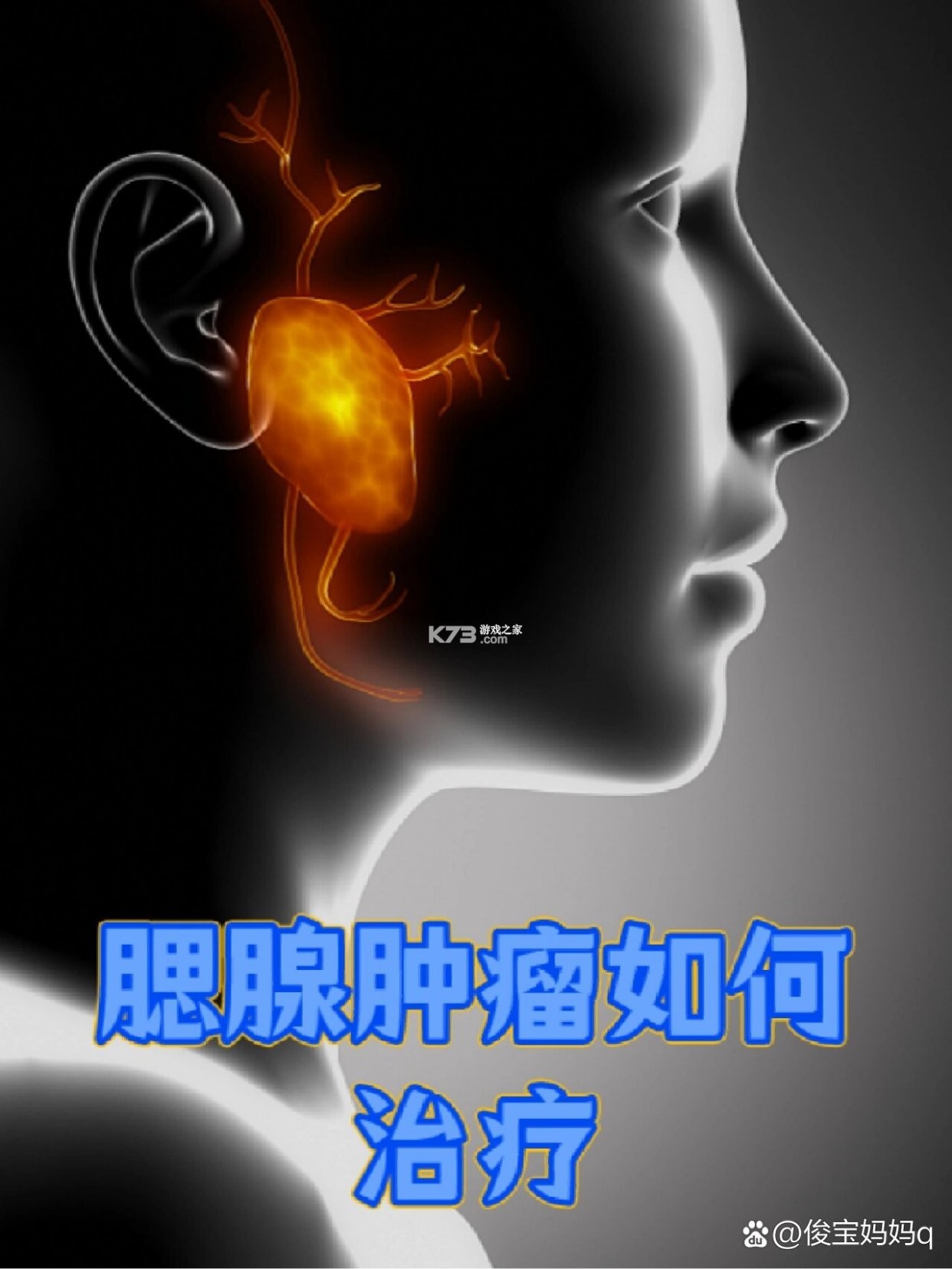 泡沫音乐 v1.0.0 下载官方版 截图
