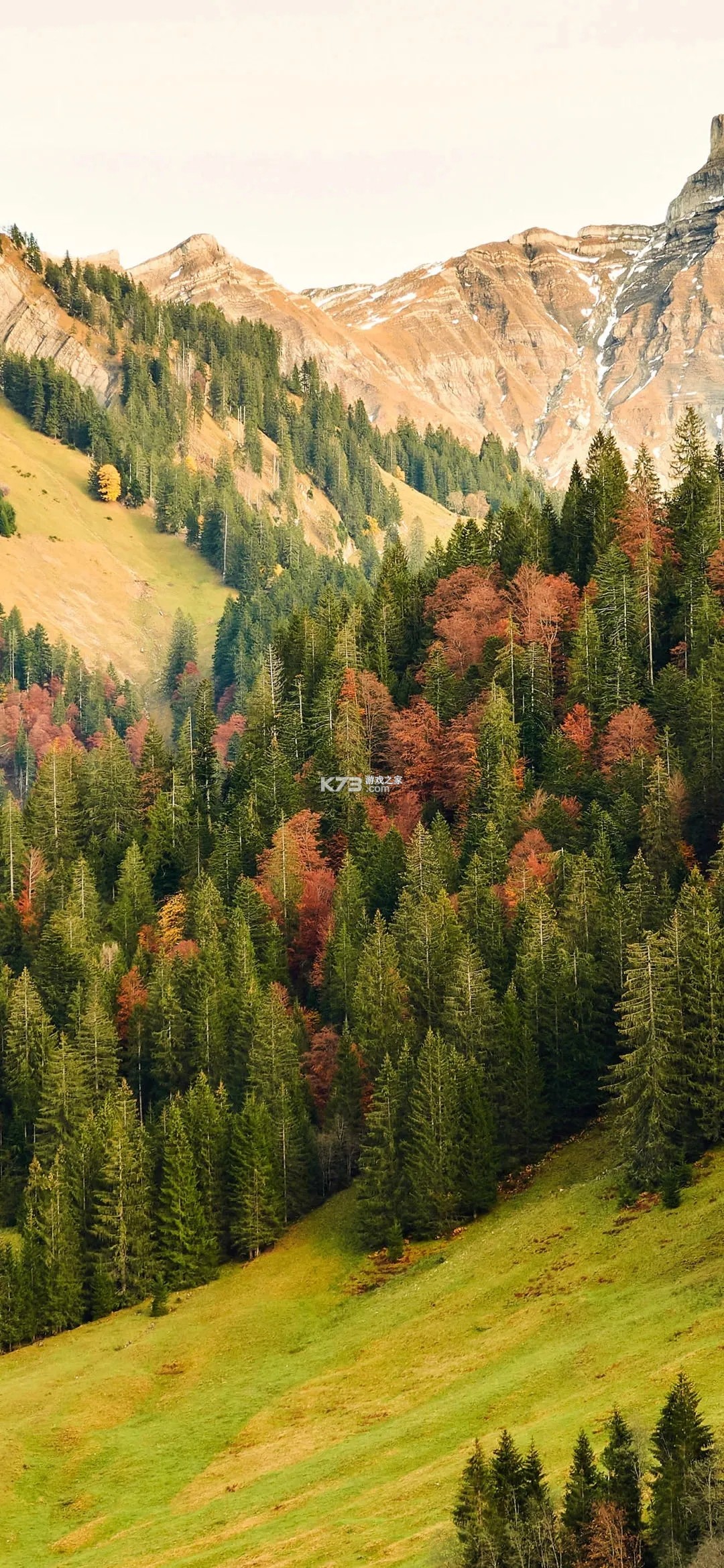 Loveme v1.3 官方app下载安装 截图