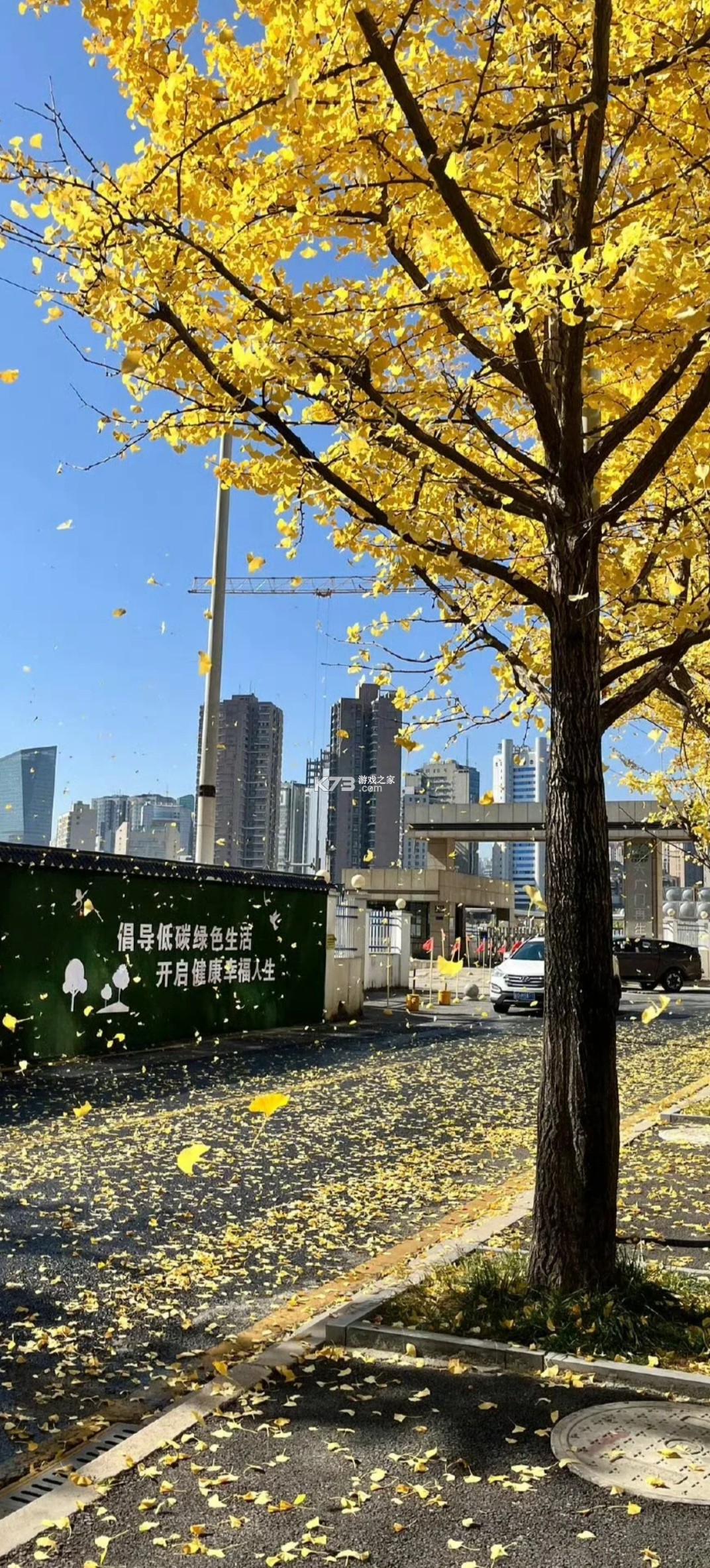 PetYuxi(宠语汐) v2.4.0 下载安装app PetYuxi(宠语汐) v2.4.0 下载安装app