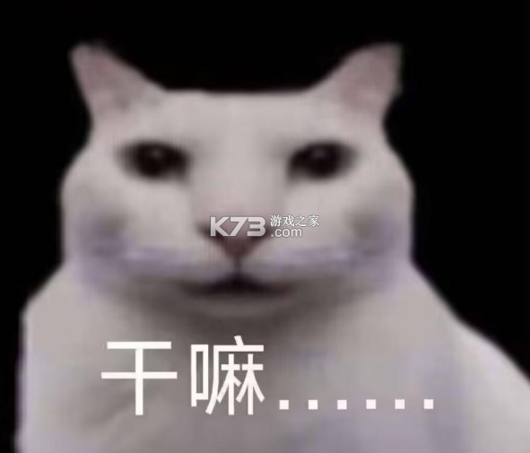 趣妞 v1.2.3 安卓app下载 截图