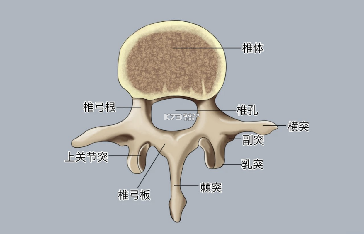 Aholo 3D v3.4.0 安卓app下载 截图