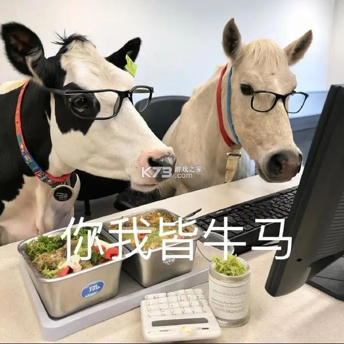 牛马去字幕神器 v1.4.6 安卓app下载 截图