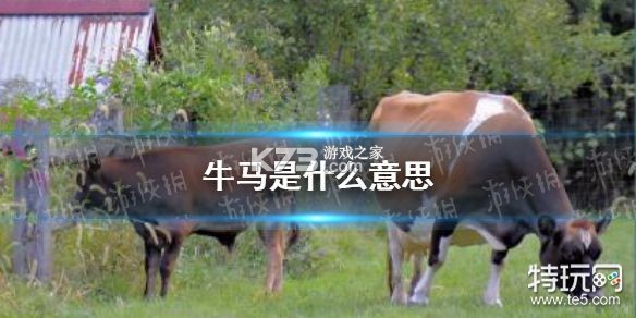 牛马去字幕神器 v1.4.6 安卓app下载 截图