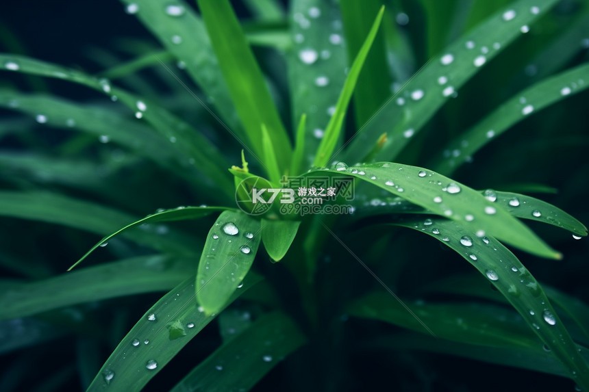 绿果鉴(真果鉴) v0.2.365 官方app下载安装 截图