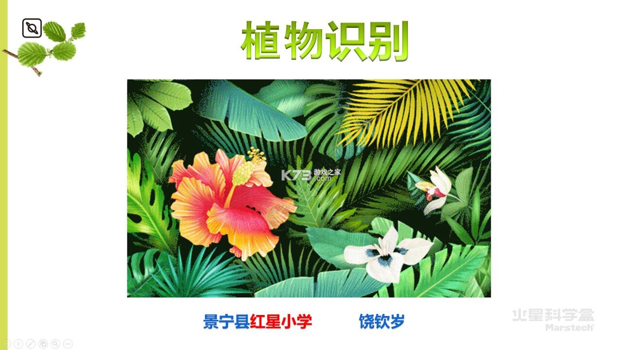 植物识别大师 v1.0.2 安卓app下载 截图