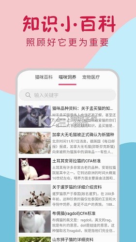 小橘猫宠物翻译 v3.0.2.302 app下载免费 截图