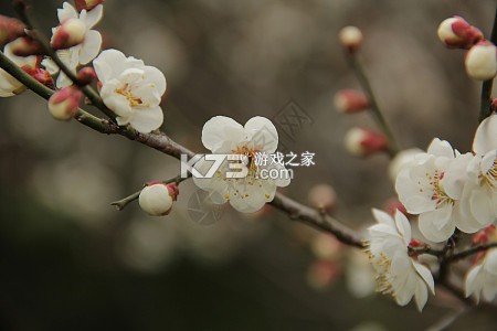 知午·子午流注 v1.1.0 安卓app下载 截图