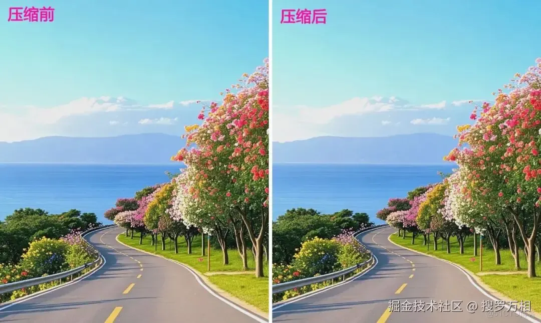 Image Compressor v7.0 app下载免费 截图