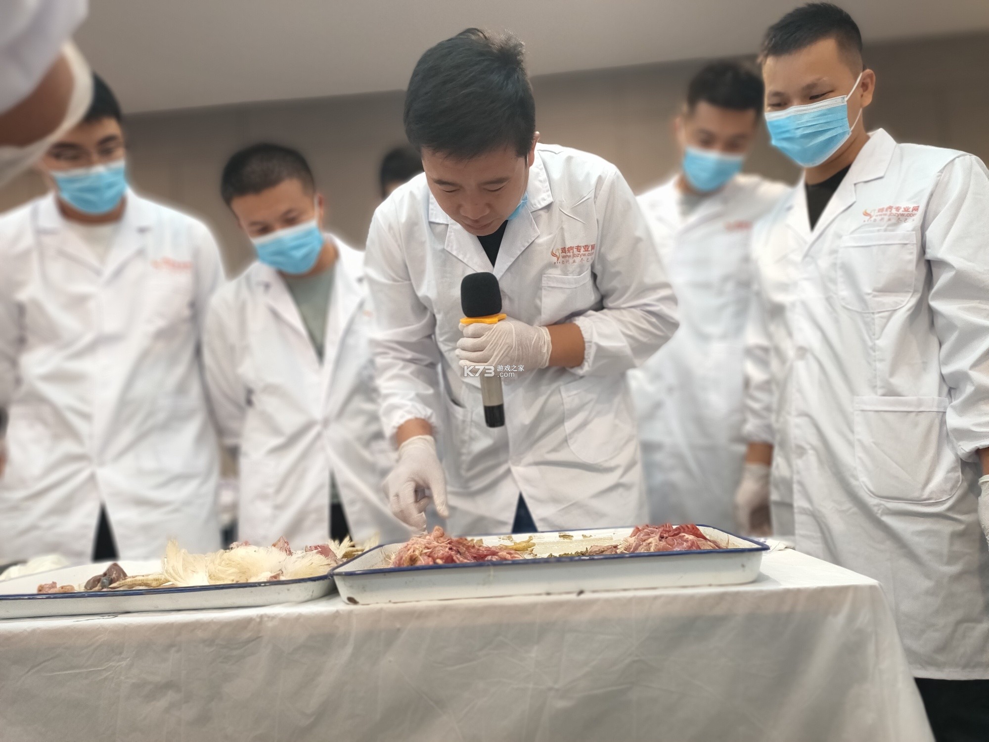鸡病专业网论坛 v7.0.1 安卓app下载 截图
