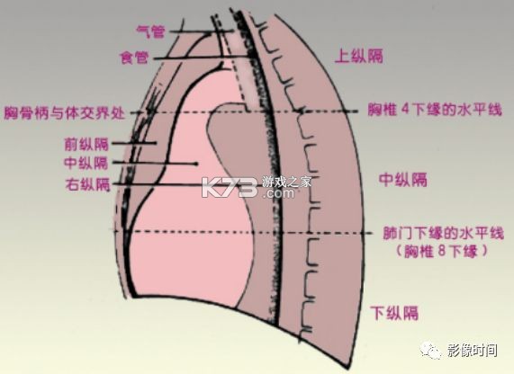 驾考快速冲刺通 v1.0.0 下载官方版 截图