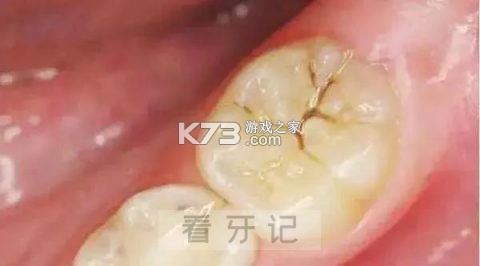ACE云手机 v1.02 app下载免费 截图