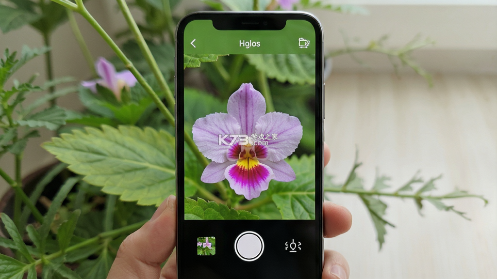 识别植物软件 v1.3.0 下载安装app 截图