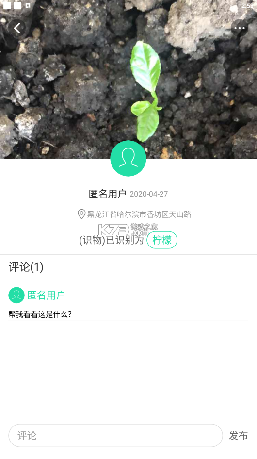 识别植物软件 v1.3.0 下载安装app 截图
