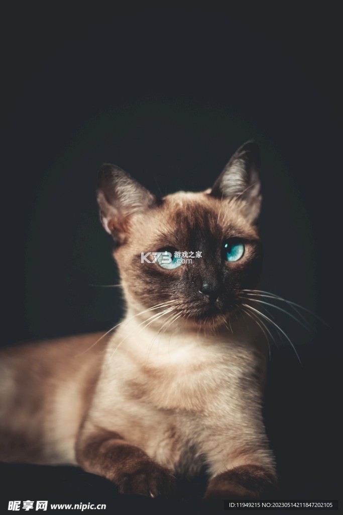 猫猫造梦屋合emoke v1.2 app下载免费 截图
