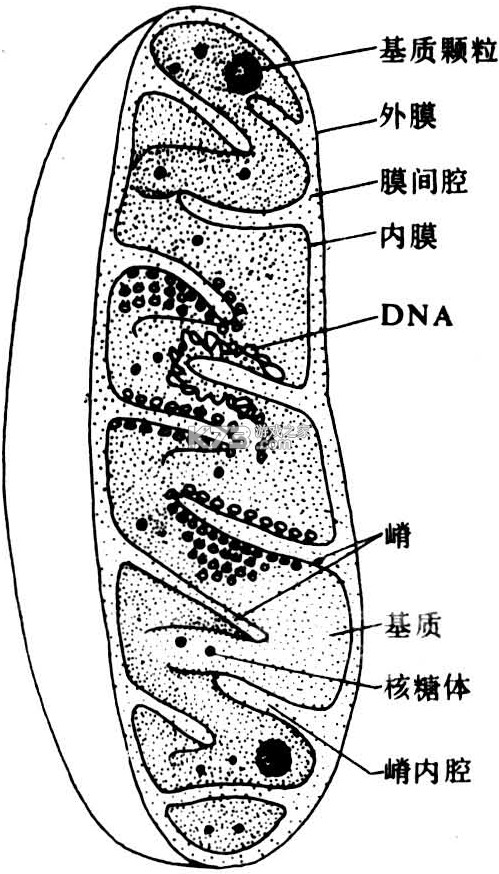 同程度假商家 v1.6.4 官方app下载安装 截图