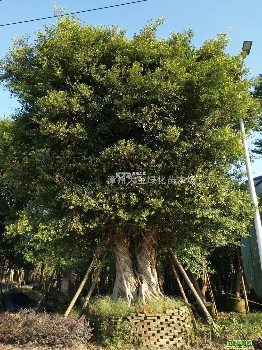 榕树家医生端 v1.5.0 app下载免费 截图
