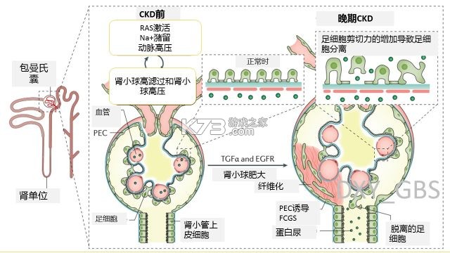 微云验方 v3.3.3 下载官方版 截图