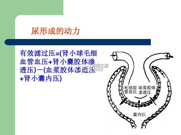 微云验方 v3.3.3 下载官方版 截图